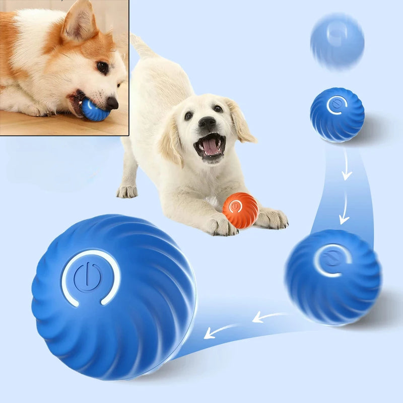 Brinquedo para cachorro com movimento automático, USB, inteligente e interativo