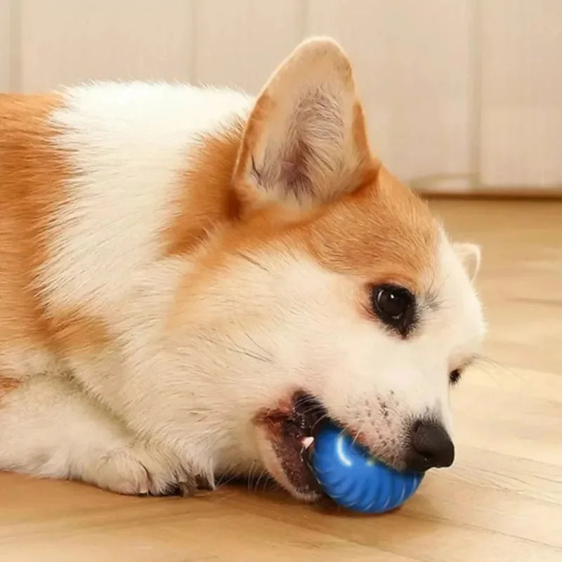Brinquedo para cachorro com movimento automático, USB, inteligente e interativo