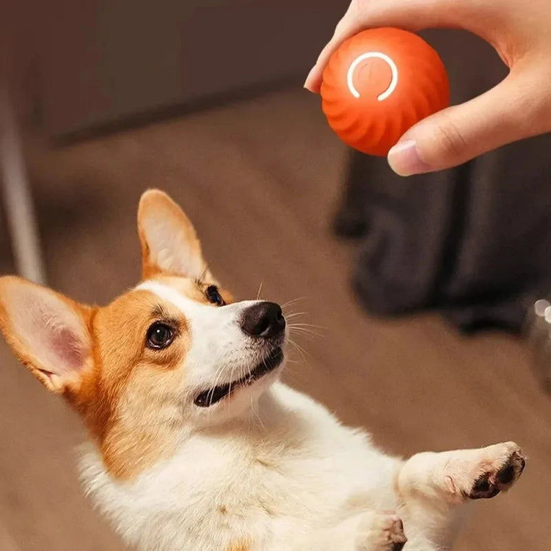 Brinquedo para cachorro com movimento automático, USB, inteligente e interativo